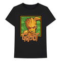 Noir - Front - I Am Groot - T-shirt - Adulte