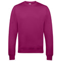 Fuchsia - Back - AWDis - Sweatshirt - Hommes
