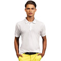 Blanc - Back - Asquith & Fox - Polo manches courtes - Homme