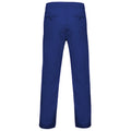 Bleu roi - Back - Asquith & Fox - Pantalon chino - Homme