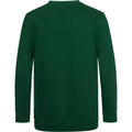 Vert - Back - AWDis - Sweatshirt à col en V - Enfant