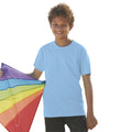 Bleu ciel - Back - Fruit Of The Loom - T-shirt à manches courtes - Enfant unisexe