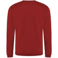 Rouge - Back - Pro RTX - Sweat-shirt - Homme