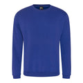 Bleu saphir - Front - Pro RTX - Sweat-shirt - Homme