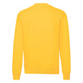 Jaune - Back - Fruit of the Loom - Sweat CLASSIC - Homme