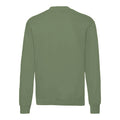 Olive - Back - Fruit of the Loom - Sweat CLASSIC - Homme