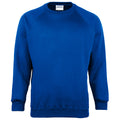 Bleu roi - Front - Maddins - Sweatshirt - Homme