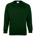 Vert bouteille - Front - Maddins - Sweatshirt - Homme