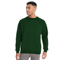 Vert bouteille - Back - Maddins - Sweatshirt - Homme