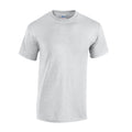 Cendre - Front - Gildan - T-shirt - Adulte
