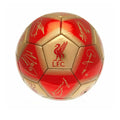Rouge - or - Back - Liverpool FC - Ballon de foot