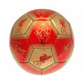 Rouge - or - Lifestyle - Liverpool FC - Ballon de foot