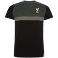 Noir - Anthracite - Doré - Front - Liverpool FC - T-shirt - Enfant