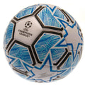 Blanc - Bleu - Noir - Front - UEFA Champions League - Ballon de foot SKYFALL