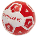 Rouge - Blanc - Back - Liverpool FC - Ballon de foot