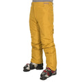 Jaune - Back - Trespass - Pantalon de ski ROSCREA - Homme