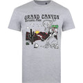 Gris chiné - Front - National Parks - T-shirt GRAND CANYON - Homme