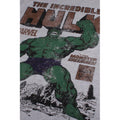 Gris chiné - Side - Hulk - T-shirt RAGE - Homme