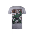 Gris chiné - Front - Hulk - T-shirt RAGE - Homme