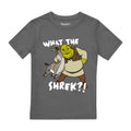 Charbon - Front - Shrek - T-shirt BEST BUDS - Garçon