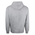 Gris - Back - Ford - Sweat à capuche MUSTANG - Homme