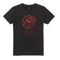 Noir - Front - House Of The Dragon - T-shirt FIRE & BLOOD - Homme