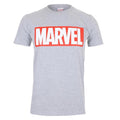 Gris chiné - Front - Marvel Comics - T-shirt CORE - Homme