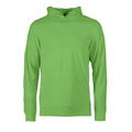 Vert clair - Front - The Printers Choice - Sweat à capuche SWITCH - Homme