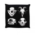 Front - Grindstore - Coussin Calvaria