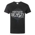 Front - Les Animaux Fantastiques - T-shirt 'Fantastic Beasts And Where To Find Them' - Homme