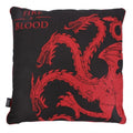 Front - Game of Thrones - Coussin