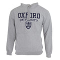 Gris - Front - Sweatshirt à capuche imprimé Oxford University - Homme