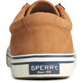 Marron clair - Back - Sperry - Chaussures décontractées STRIPER STORM CVO - Homme