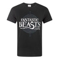 Noir - Front - Les Animaux Fantastiques - T-shirt 'Fantastic Beasts And Where To Find Them' - Homme