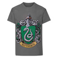 Gris foncé - Front - Harry Potter - T-shirt - Garçon