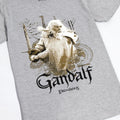 Gris - Doré - Lifestyle - The Lord Of The Rings - T-shirt - Homme