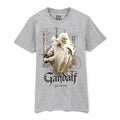 Gris - Doré - Front - The Lord Of The Rings - T-shirt - Homme