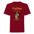 Rouge - Front - Harry Potter - T-shirt GRYFFINDOR - Fille