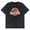 Gris - Rouge - Jaune - Front - Jurassic Park - T-shirt - Adulte