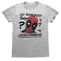 Gris chiné - Front - Deadpool - T-shirt CHIMICHANGAS - Homme