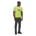 Vert kaki clair - Lifestyle - Regatta - T-shirt FINGAL - Homme